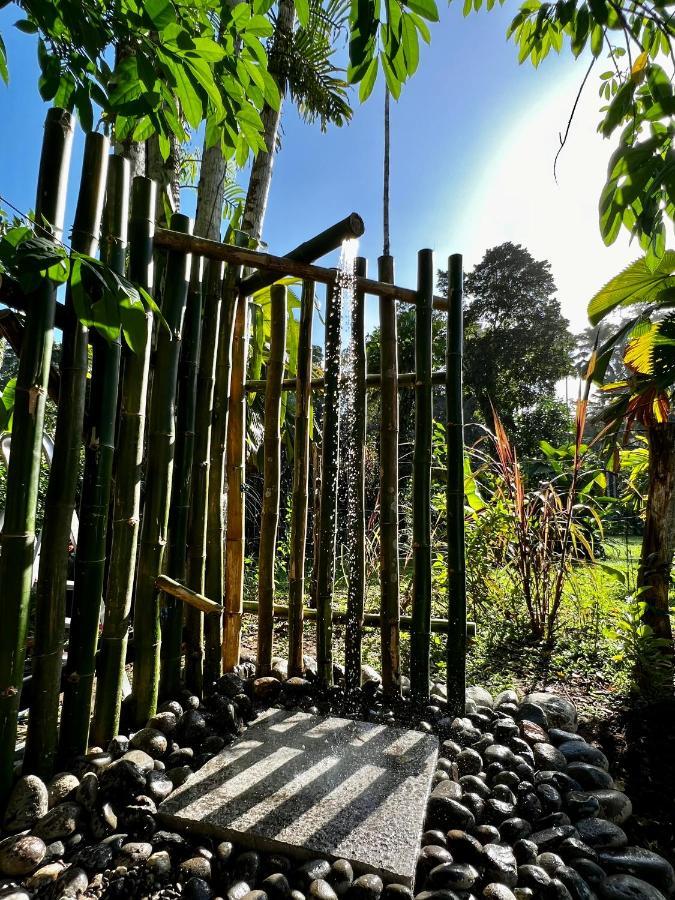 Whispering Wisdom Villa Cahuita Exterior photo